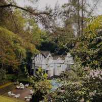 Ullen Sentalu Museum, Jogjakarta