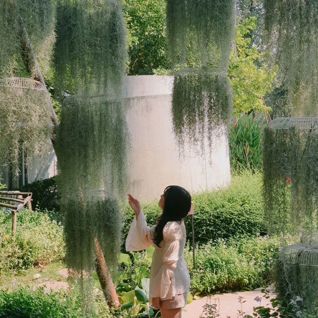 คาเฟ่ลับนครปฐม กินขนม ชมน้องควาย ใกล้ชิดธรรมชาติ
