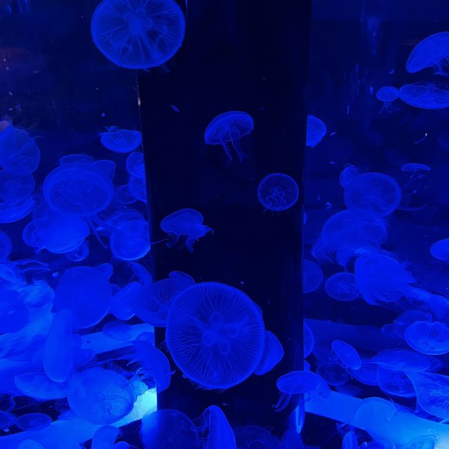 アクアパーク品川
