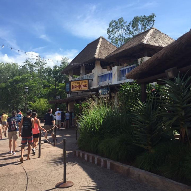 เที่ยวเล่น เต้นด้วยกันที่ Animal Kingdom 