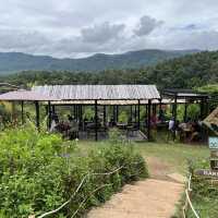 Elefin Farm & Cafe หางดง เชียงใหม่