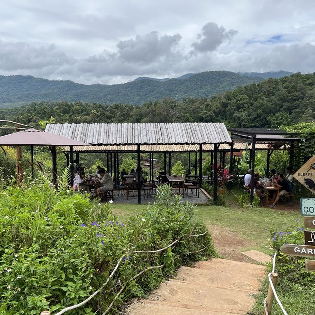 Elefin Farm & Cafe หางดง เชียงใหม่