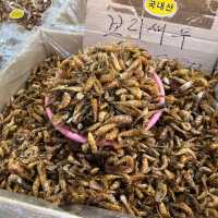 釜山 札嘎其市場吃海鮮🦞🦐🐙還有乾貨海味 