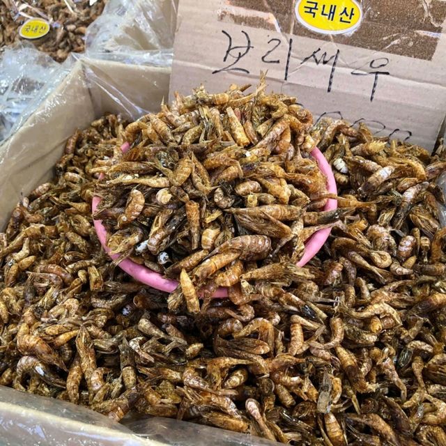 釜山 札嘎其市場吃海鮮🦞🦐🐙還有乾貨海味 