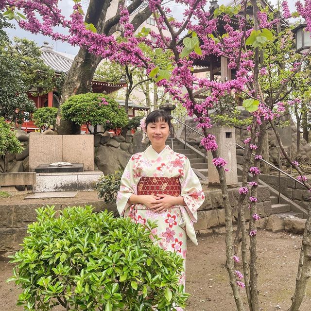 Kimono Day at Asakusa Sensoji Temple Tokyo