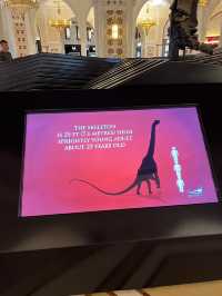 I found a 🦕fossil in Dubai! 