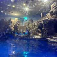 大邱の新世界デパートに水族館！？