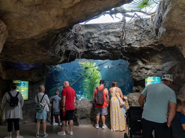 The Florida Aquarium
