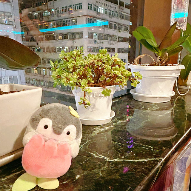 甜辣炸雞超正👍👍