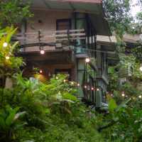 Bee forest บ้านแม่ลาย เชียงใหม่