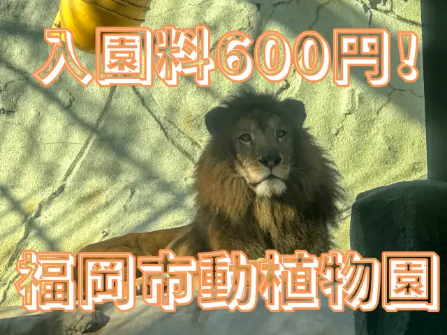 破格の600円で楽しめる動植物園！