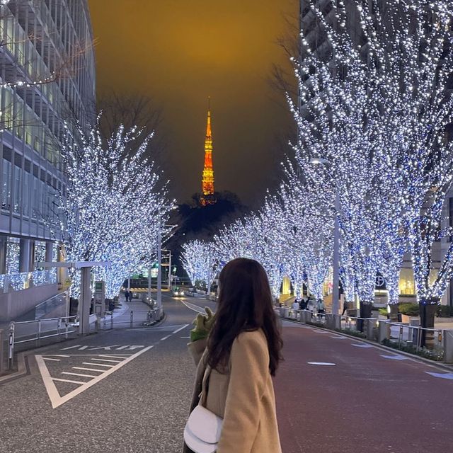 아름다운 일루미네이션, 롯폰기 힐스