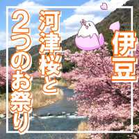 【静岡】2月に楽しむ伊豆河津桜と２つの祭り