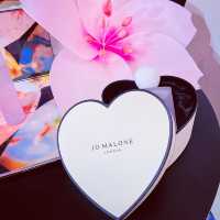 Ohanami Celebration