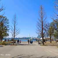 東京旅遊，豐洲公園