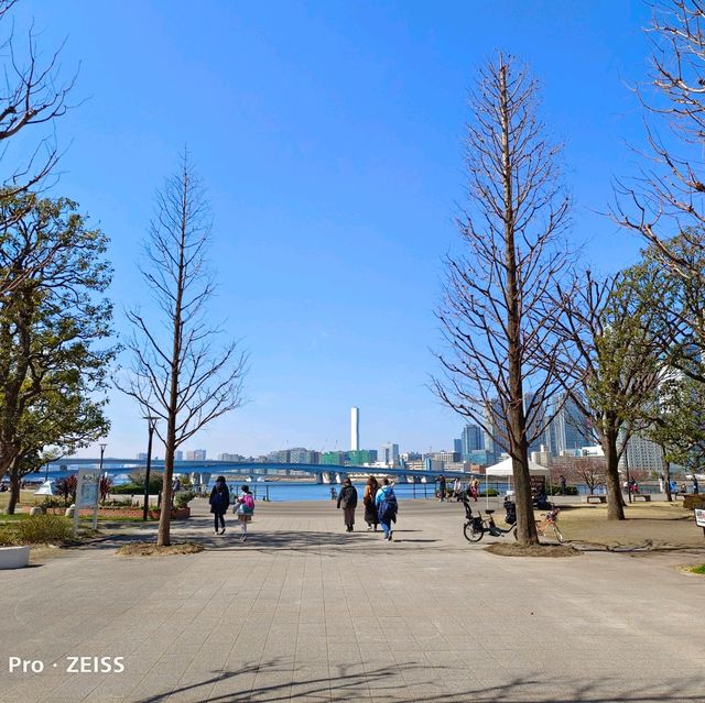 東京旅遊，豐洲公園