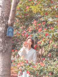 부산에 있는 동백 명소 화명생태공원♥️✨