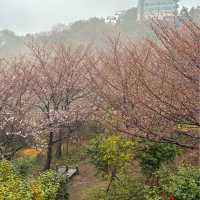 여수 가볼만한 곳 돌산공원 여수해상케이블카
