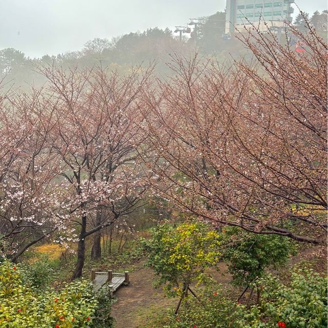 여수 가볼만한 곳 돌산공원 여수해상케이블카