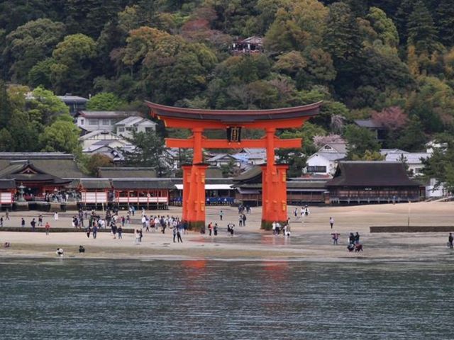 Miyajima and deers of God