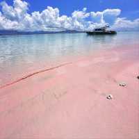 Pink Komodo, East Nusa Tenggara.