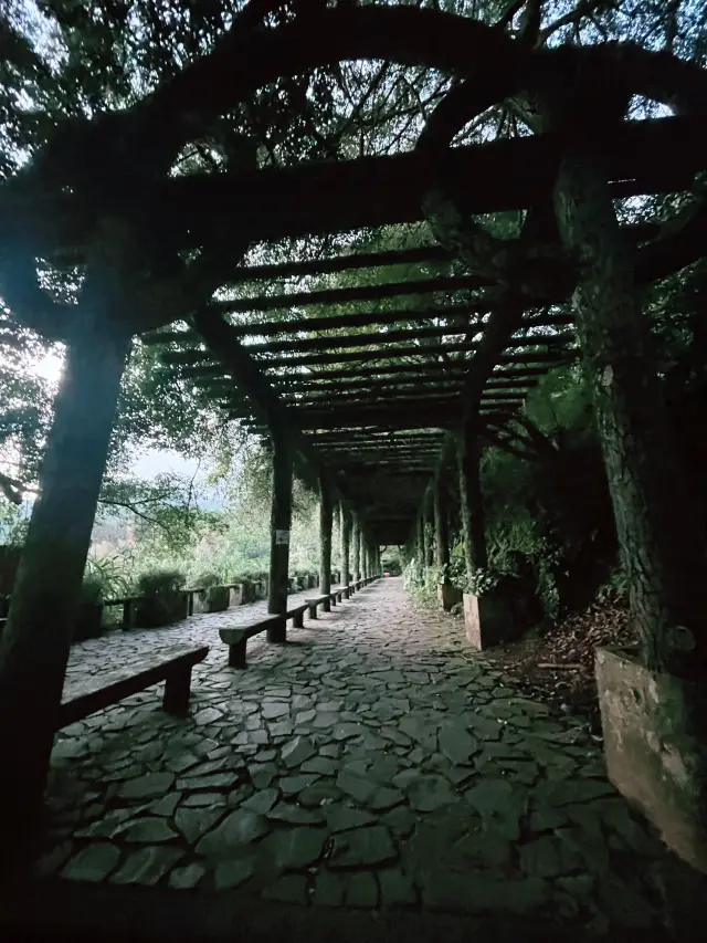 陽明山｜大屯瀑布區步道