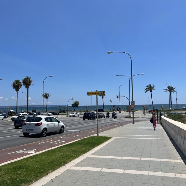 【スペイン】マヨルカ島中心地、パルマ観光🏝️