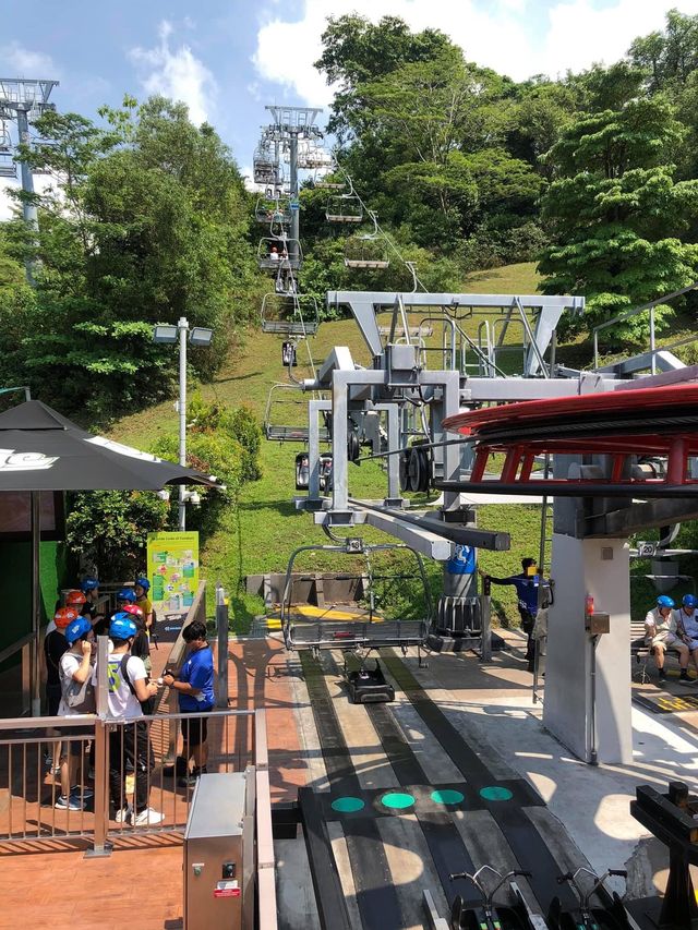 聖淘沙必玩😝 Skyline Luge Sentosa🙈親子遊活動推介❤️❤️