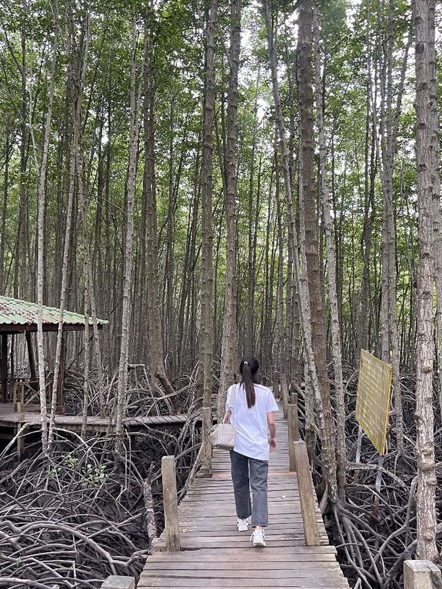 ไปชมพระอาทิตย์ตกที่ทุ่งโปรงทองกัน🌥️
