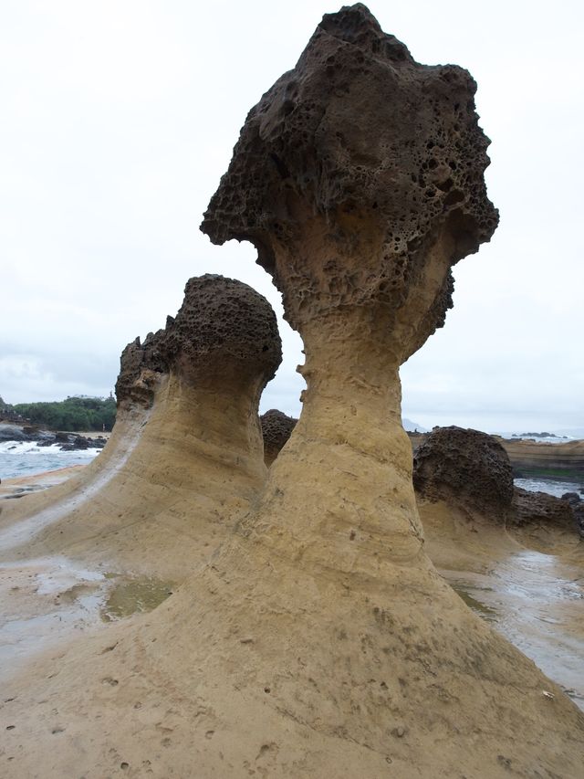 野柳地質公園與女王頭打卡