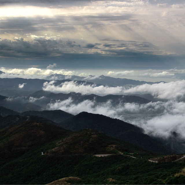 香港🇭🇰 ｜季節限定的山野景色🌟 - 大帽山 ⛰️