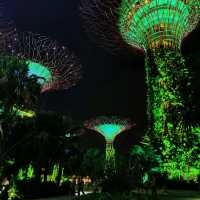 A must watch light show in Singapore 😍