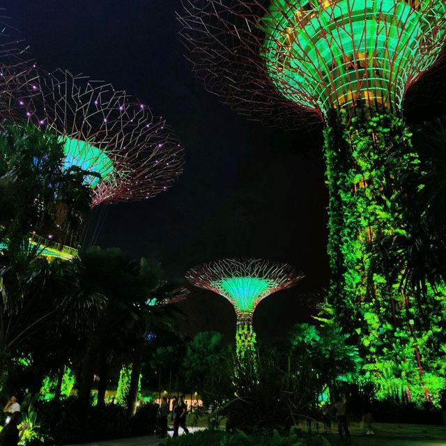 A must watch light show in Singapore 😍