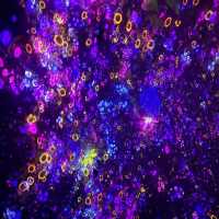 Teamlab Planets Tokyo 視覺藝術很受