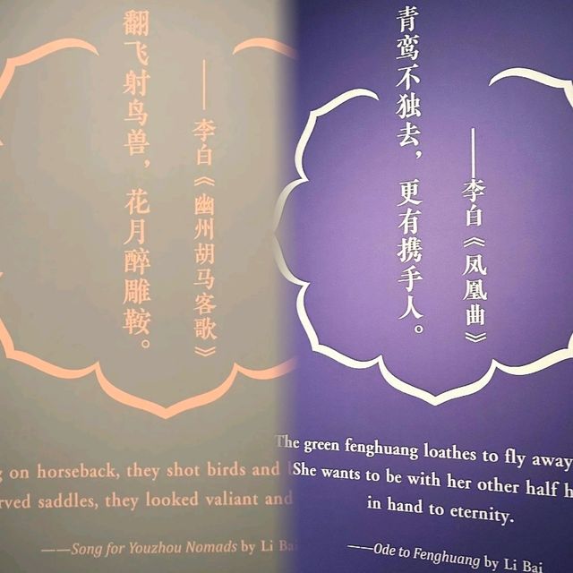 深圳看展~花月醉雕鞍~盛世大唐金鄉縣主展