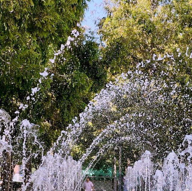 🌳 부산시민들을 위한 한적한 일상의 선물, 부산시민공원