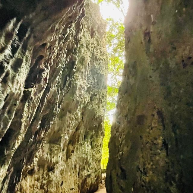 享受森林浴-墾丁國家森林遊樂區