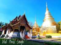 One Day in Chiang Mai by Bike