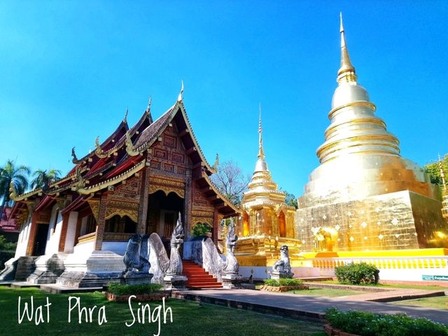 One Day in Chiang Mai by Bike