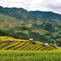 Vành Móng Ngựa Terraced Rice Fields