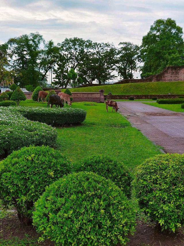 Si Thammasokarat Public Park Nakhon 👍🏻