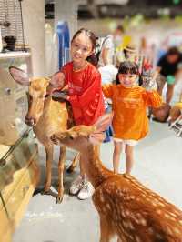 深圳小小室內動物園 — 餵草泥馬🦙、梅花鹿、孔雀🦚