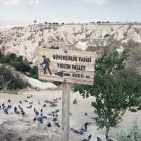 Exploring Impressive Pigeon Valley in Turkey 