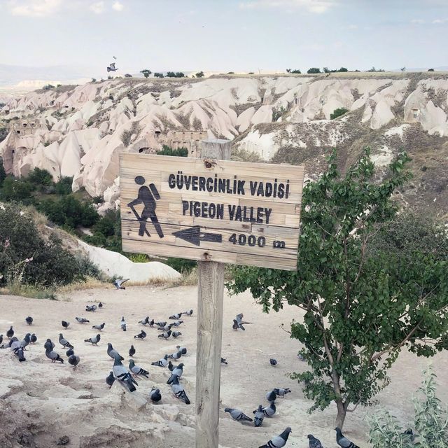 Exploring Impressive Pigeon Valley in Turkey 
