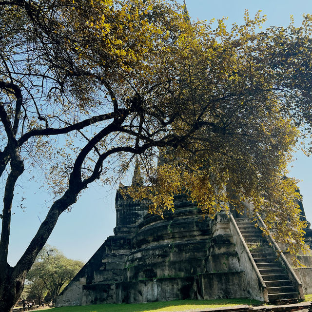 วัดพระศรีสรรเพชญ์
