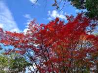 破格の600円で楽しめる動植物園！