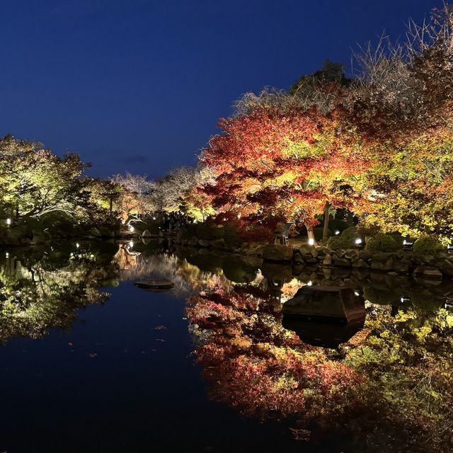 【京都】大人旅　秋の京都ココは外せない！