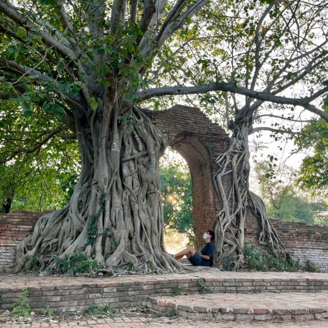 ประตูแห่งกาลเวลาวัดพระงาม