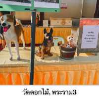 ไหว้พระทำบุญ ณ วัดดอกไม้