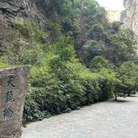 電影夢幻場景 - 天生三橋